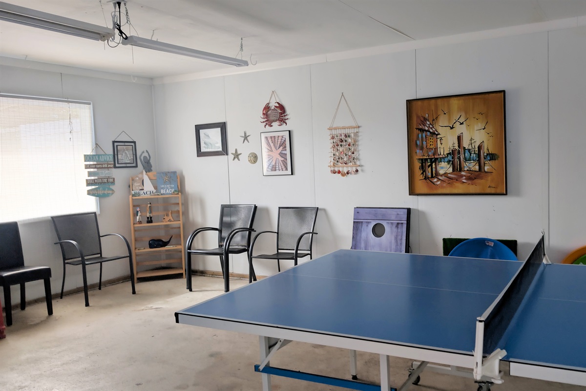 Table Tennis in garage