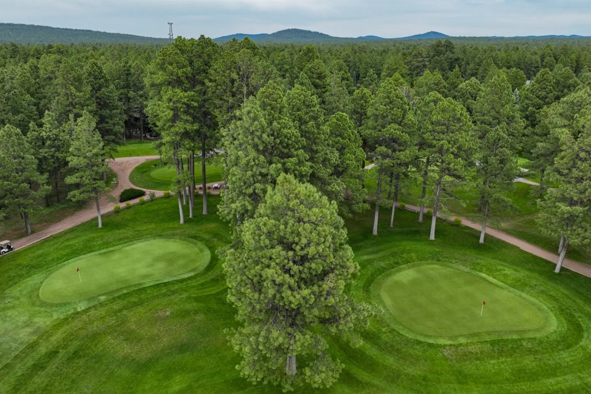 Pinetop Lakes Country Club 