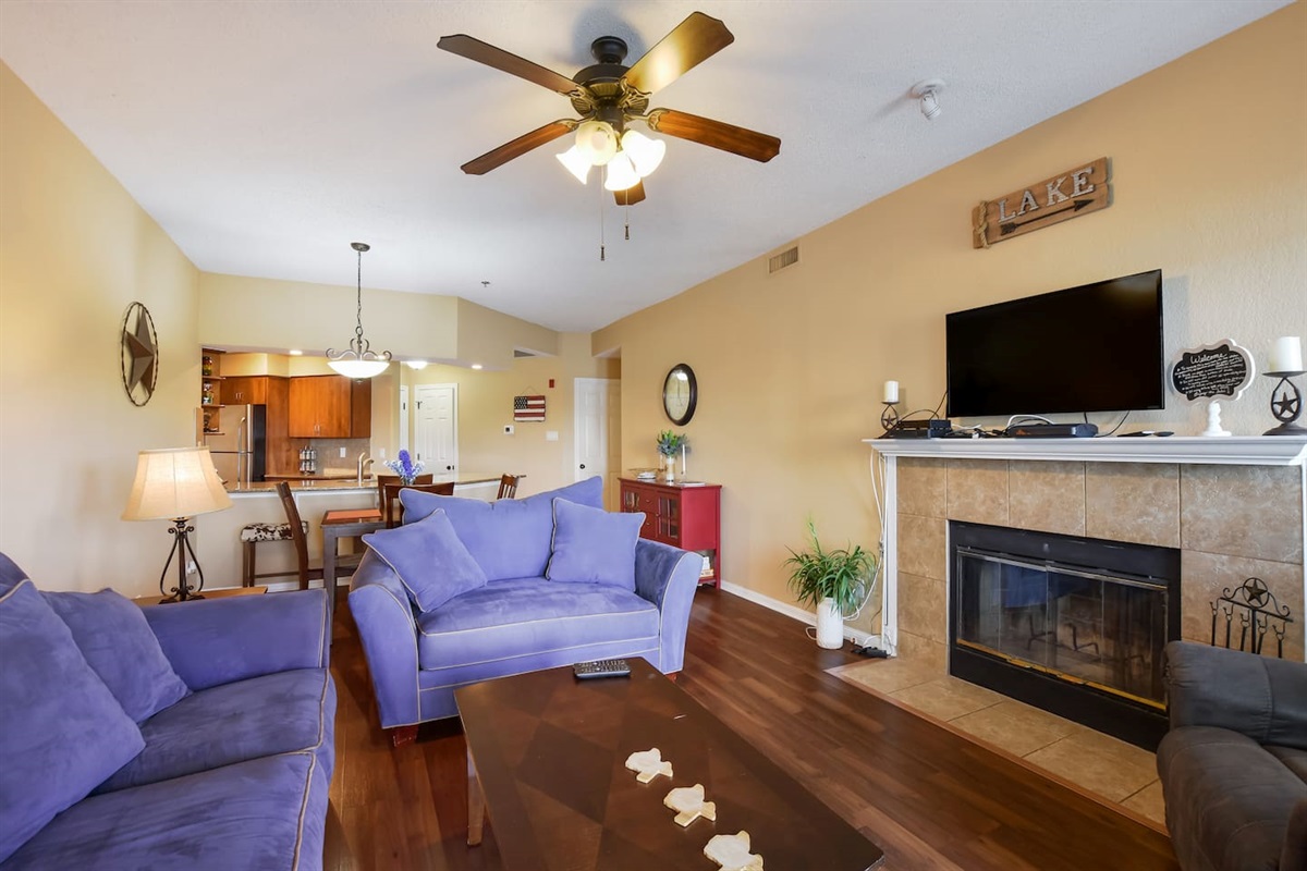 Fireplace & HDTV in Living Room