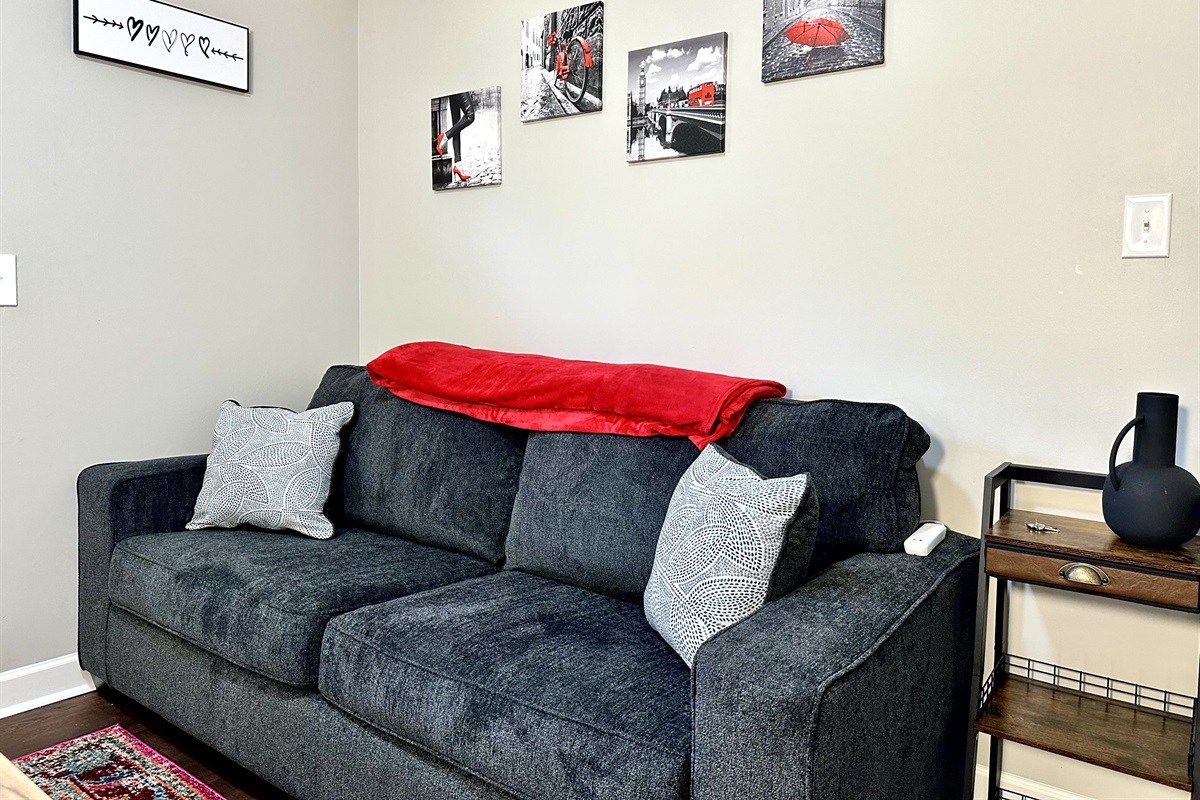 Queen-size Sleeper Sofa
