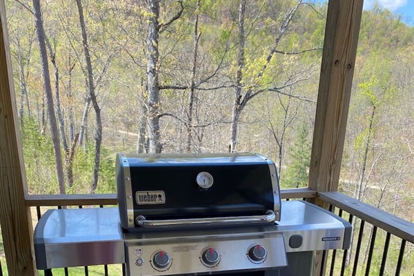 Gas grill for your use.