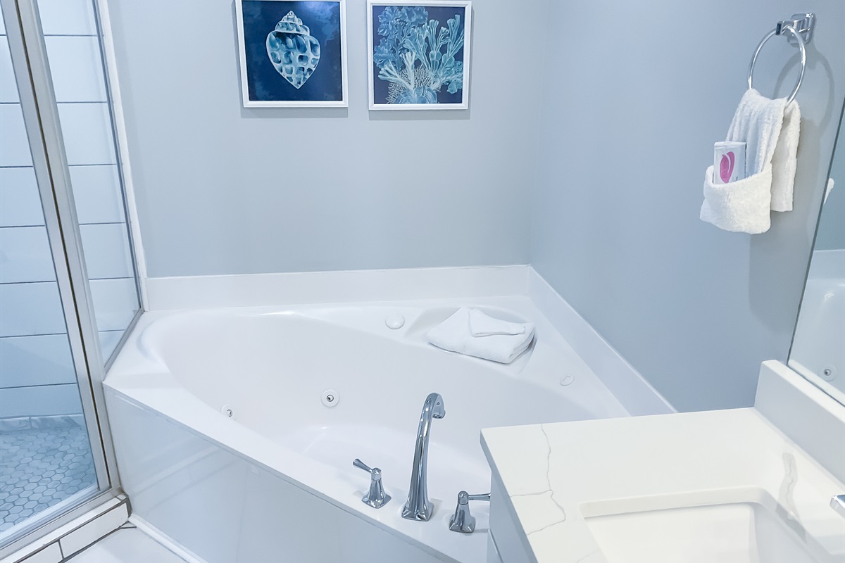 Master Bathtub with jets