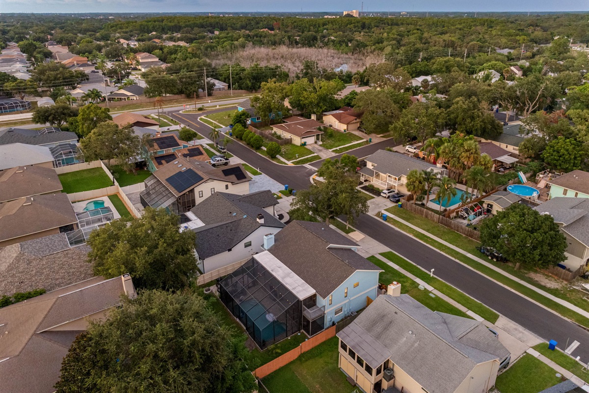 Aerial View of the Neighborhood