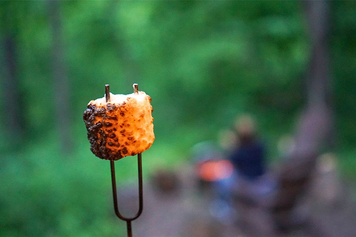 One bundle of firewood provided along with fire starter blocks and lighter making having a fire easy. Roasting sticks also included for s'more making fun. 
