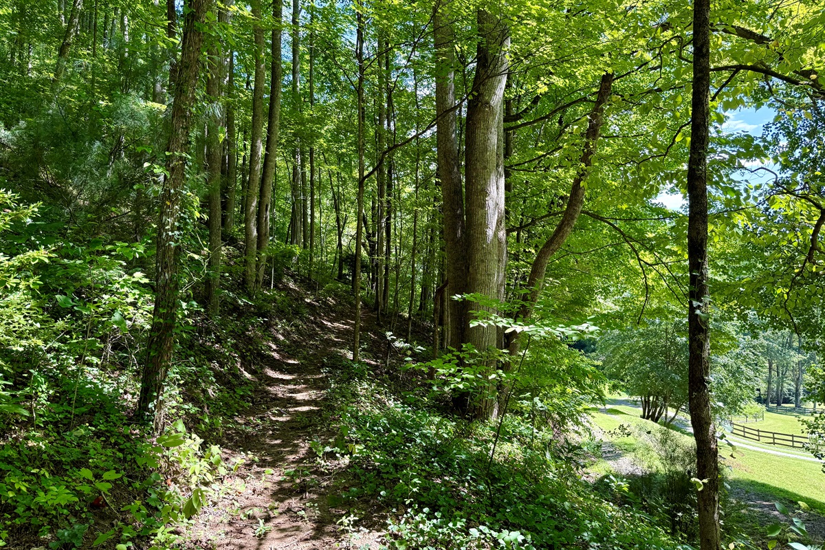 Hiking trails- Start here, see where it leads.