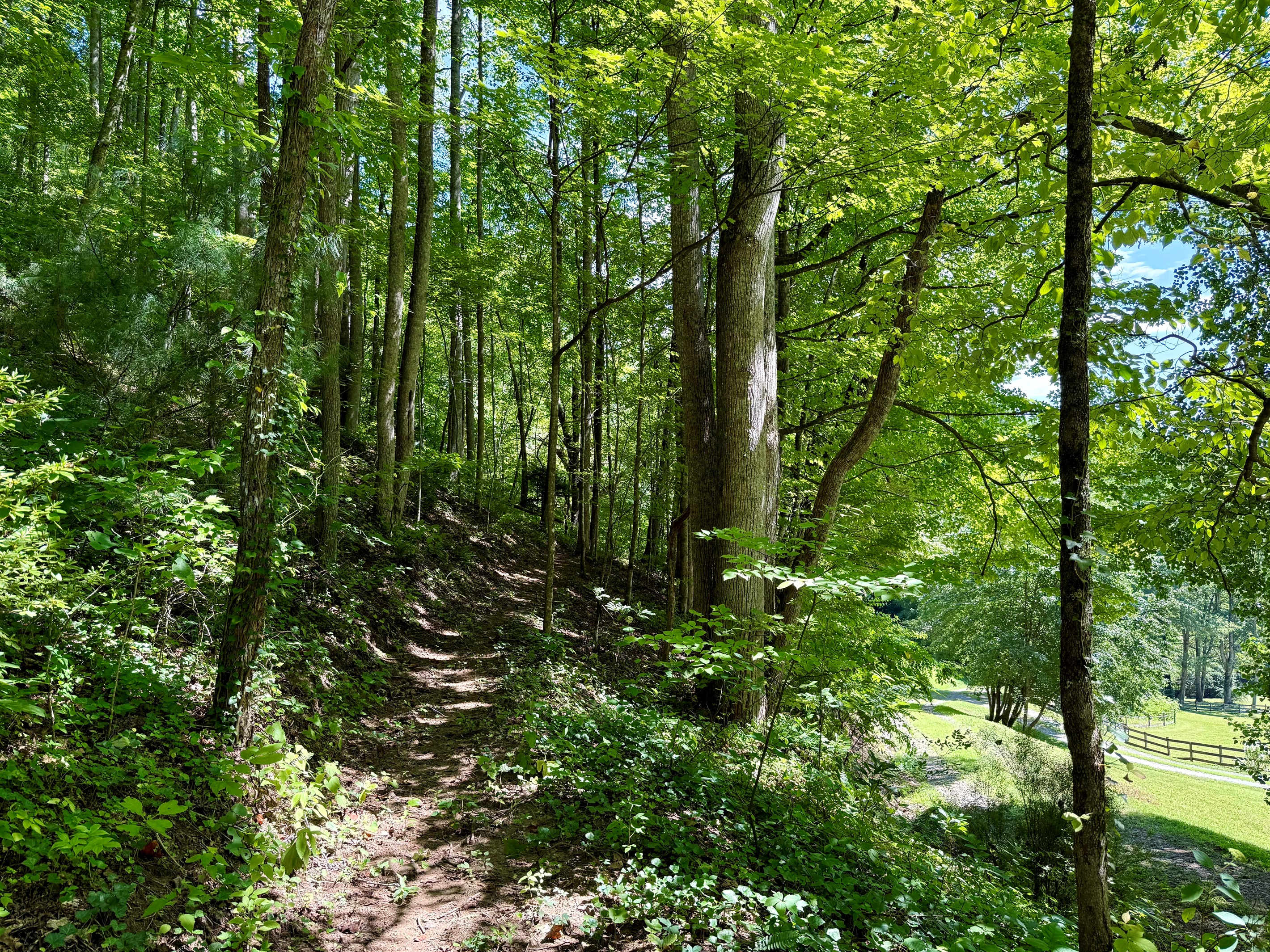 Hiking trails- Start here, see where it leads.