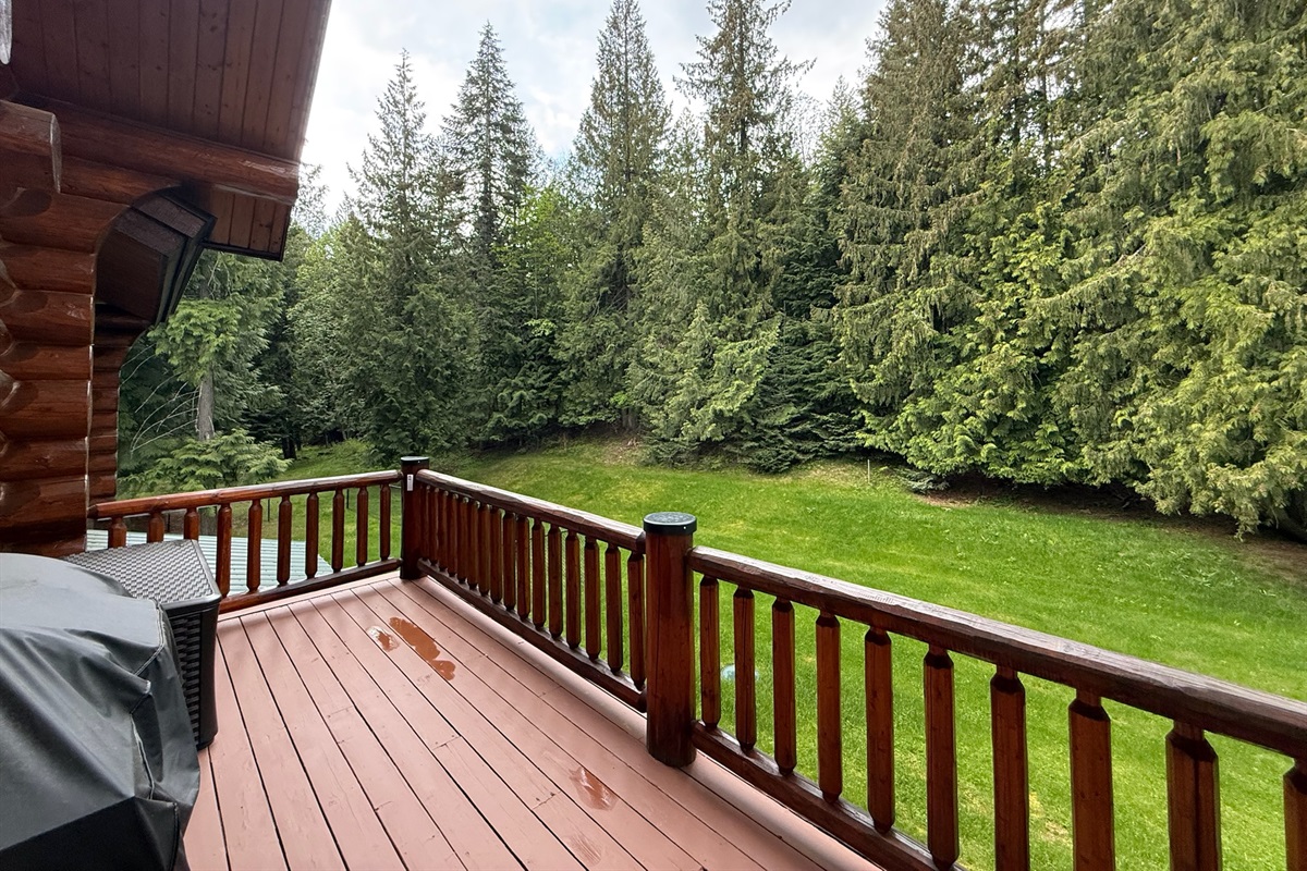 Back deck with grill