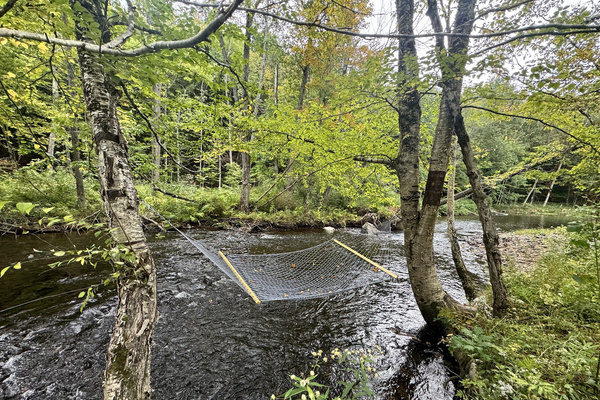 Or relax in our hammock suspended above the river. 
