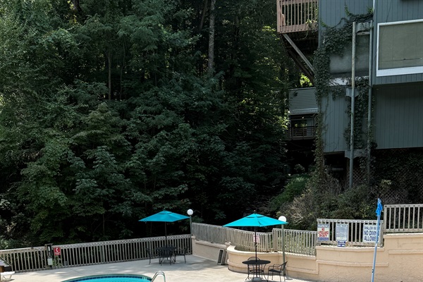 Relax by the pool on a chase lounge or enjoy a meal at the table.  You'll enjoy the sounds of the creek gently falling over the falls and across the rocks nearby while you cool off in the pool.