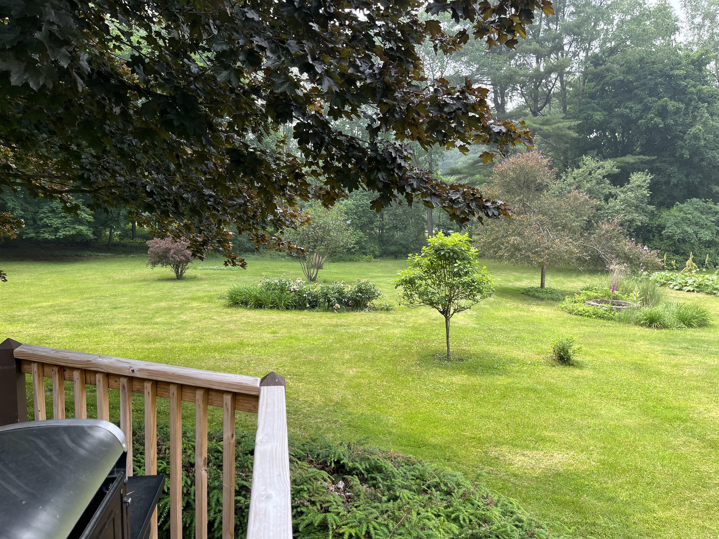 Back yard and gardens