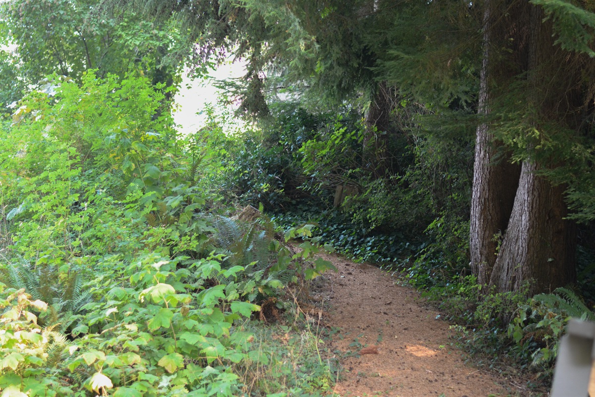 Home sits 50 yards off road on private wooded driveway