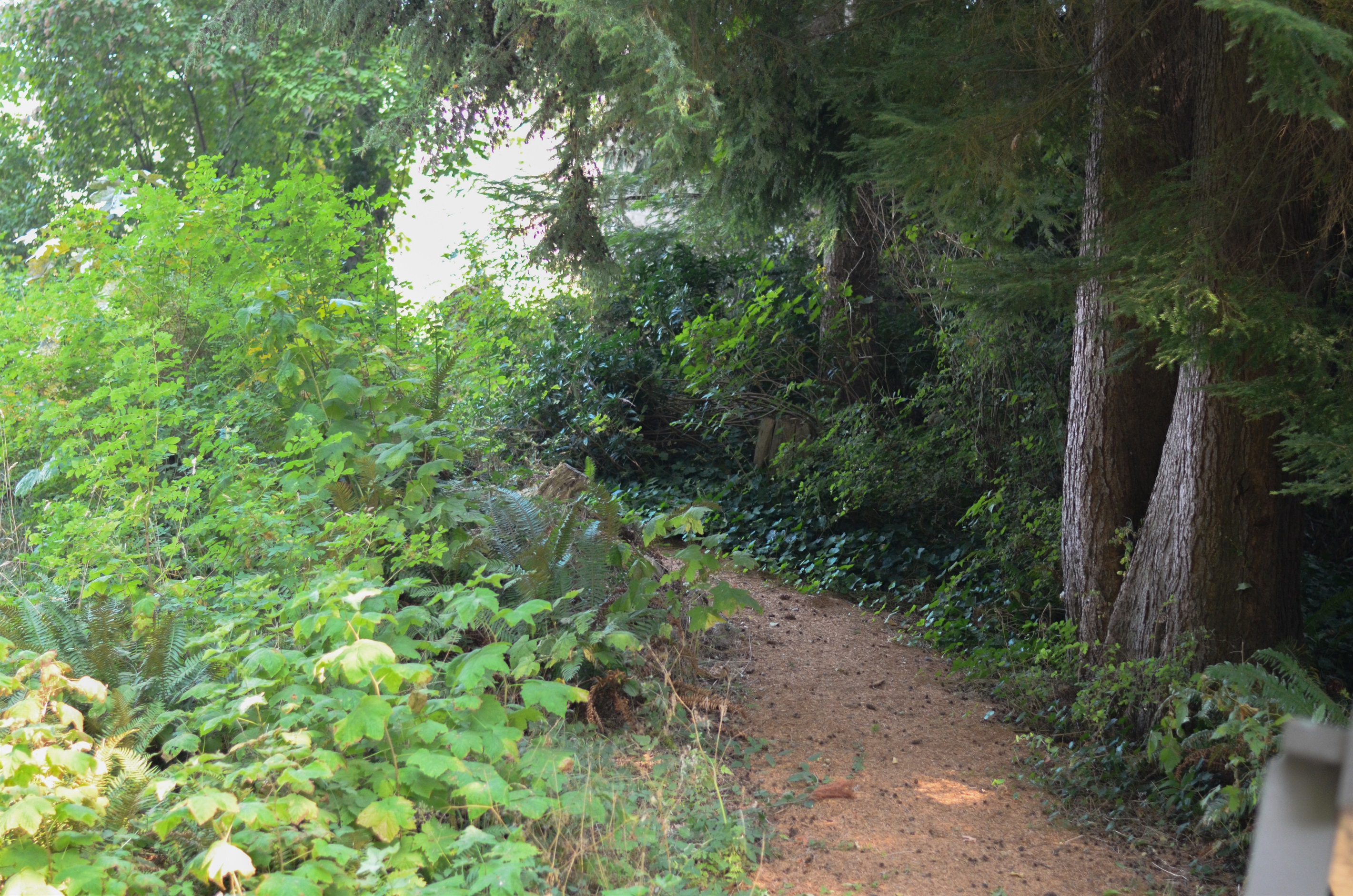 Home sits 50 yards off road on private wooded driveway