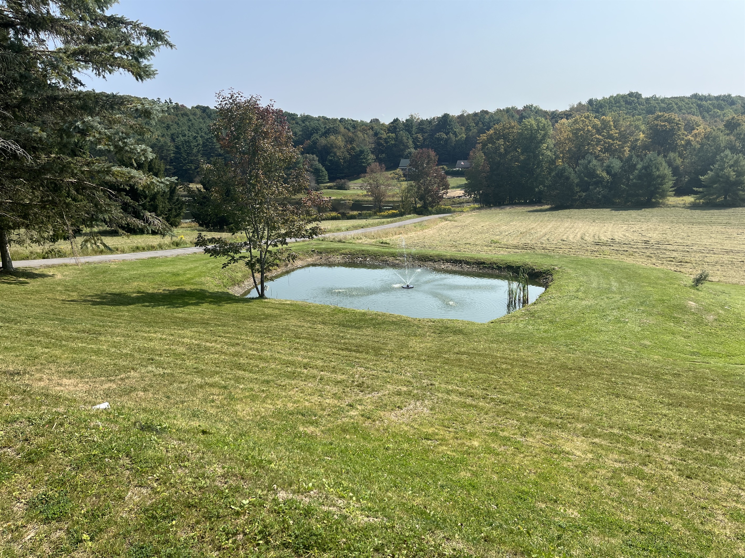 Fountain View