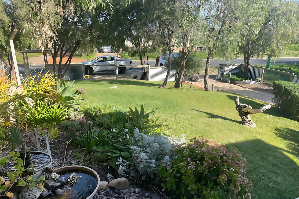 Landscaped front gardens with native plants and a small water feature lead down to a large grassed lawn, with a fenced front boundary and a pedestrian gate to the street.