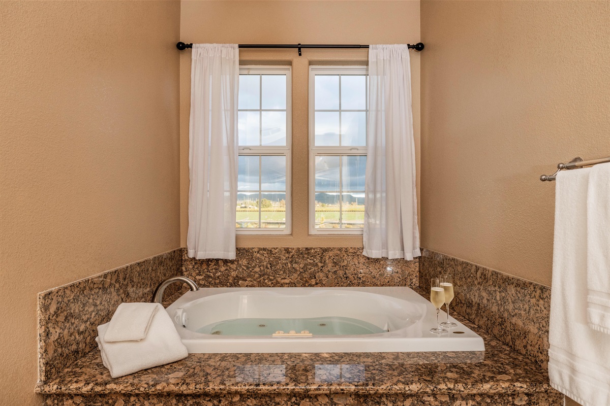 Beautiful view from the jacuzzi tub.