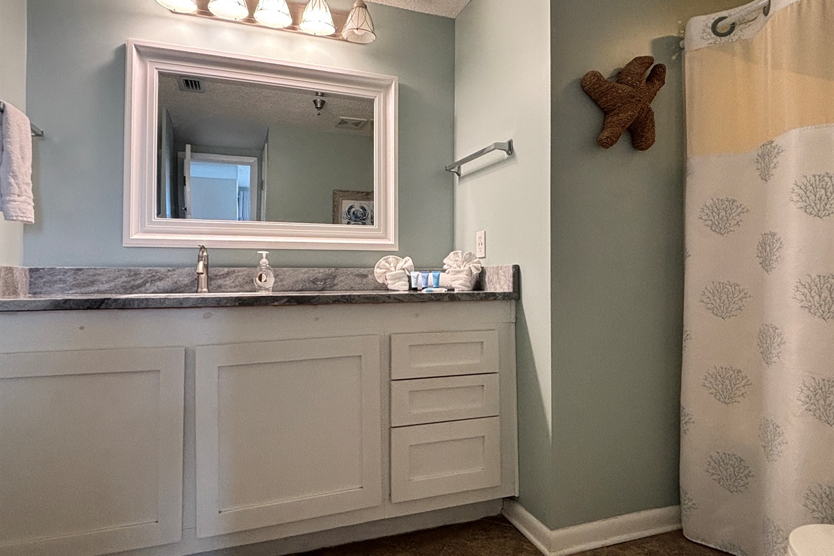 Primary Bath - plenty of light and room for 2!