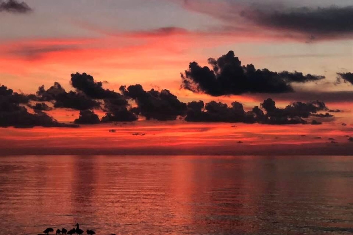 Beautiful Sunsets!