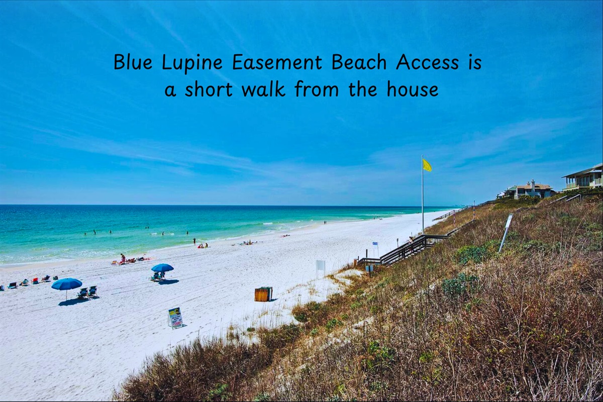 Blue Lupine Easement Beach Access is a short walk from the house