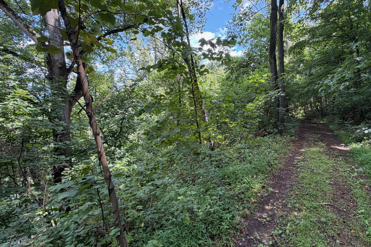 Numerous trails are on the 26 acre property, which you are free to use. We do have many wild animals to enjoy watching, but do take care and be safe. Read through the Guest Welcome Book about safety before you venture off.