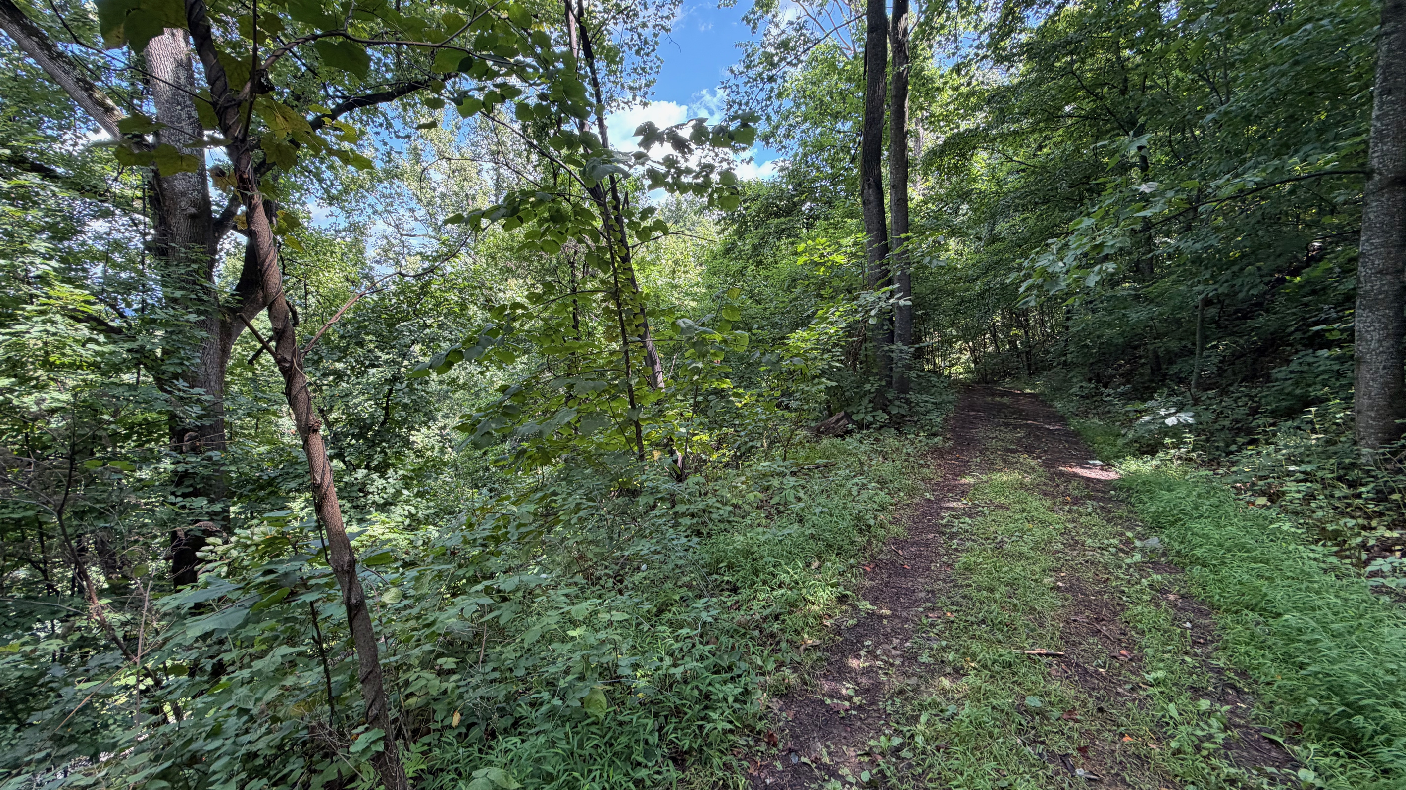 Numerous trails are on the 26 acre property, which you are free to use. We do have many wild animals to enjoy watching, but do take care and be safe. Read through the Guest Welcome Book about safety before you venture off.