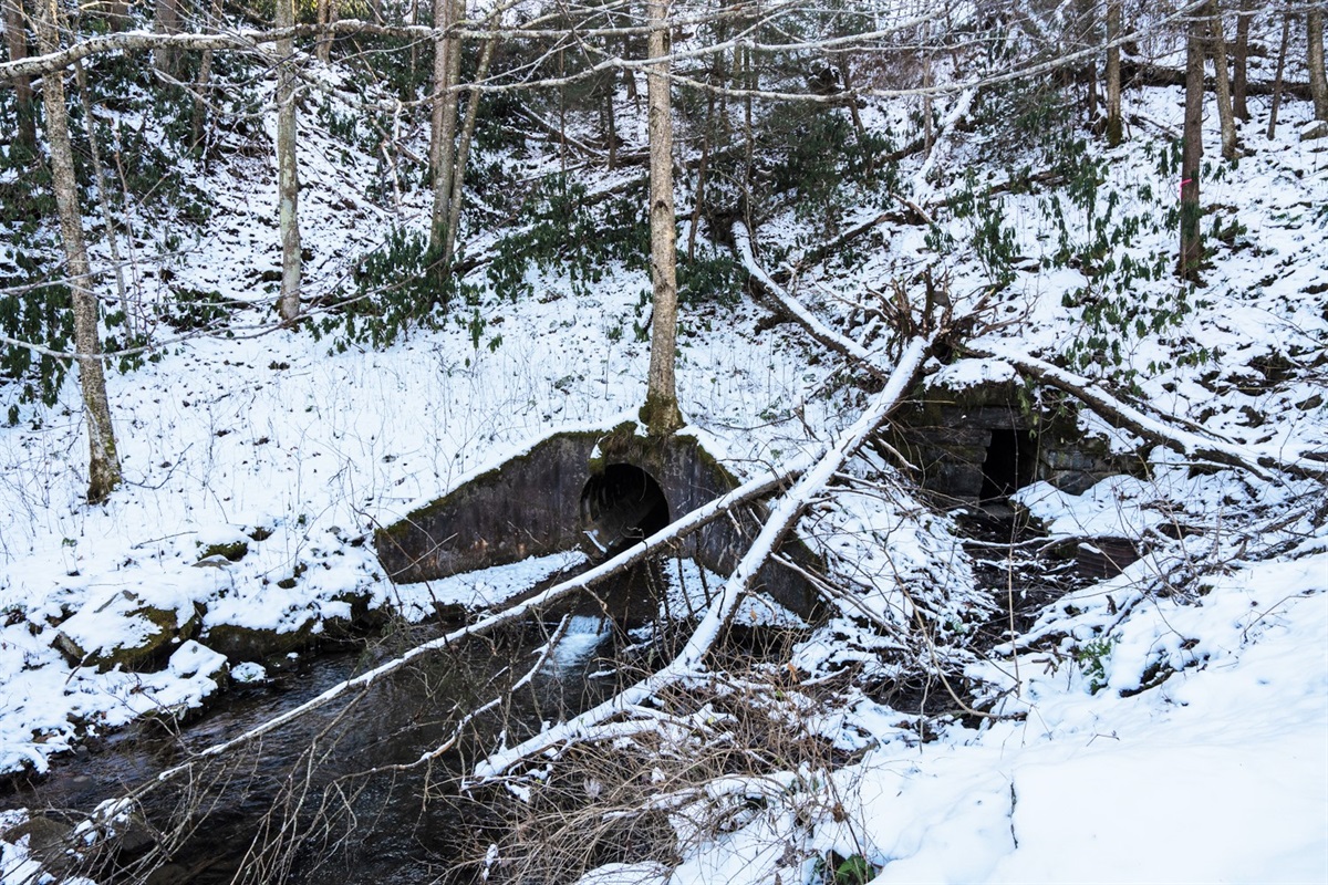 Enjoy the sound of the creek