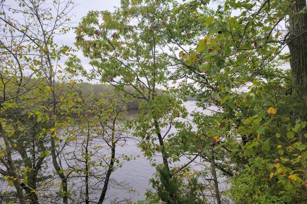 Beautiful river views from atop the bluff