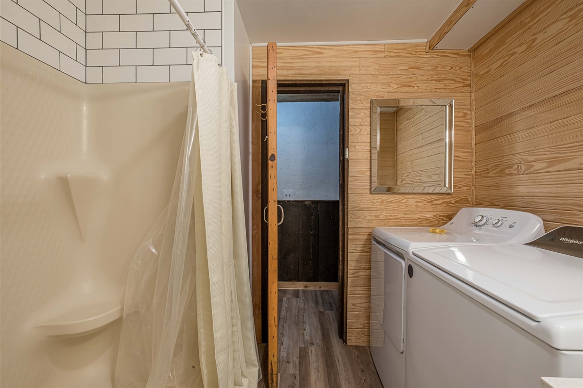 Basement Shared Guest Bathroom