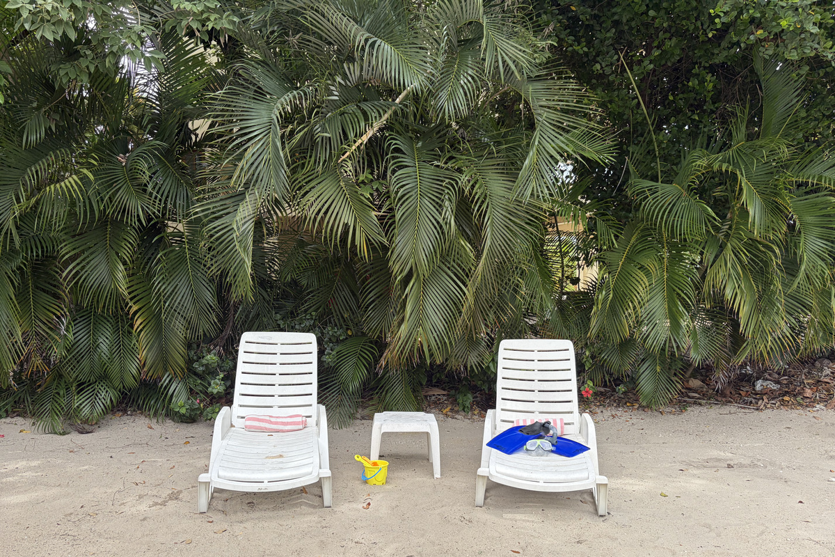 Loungers