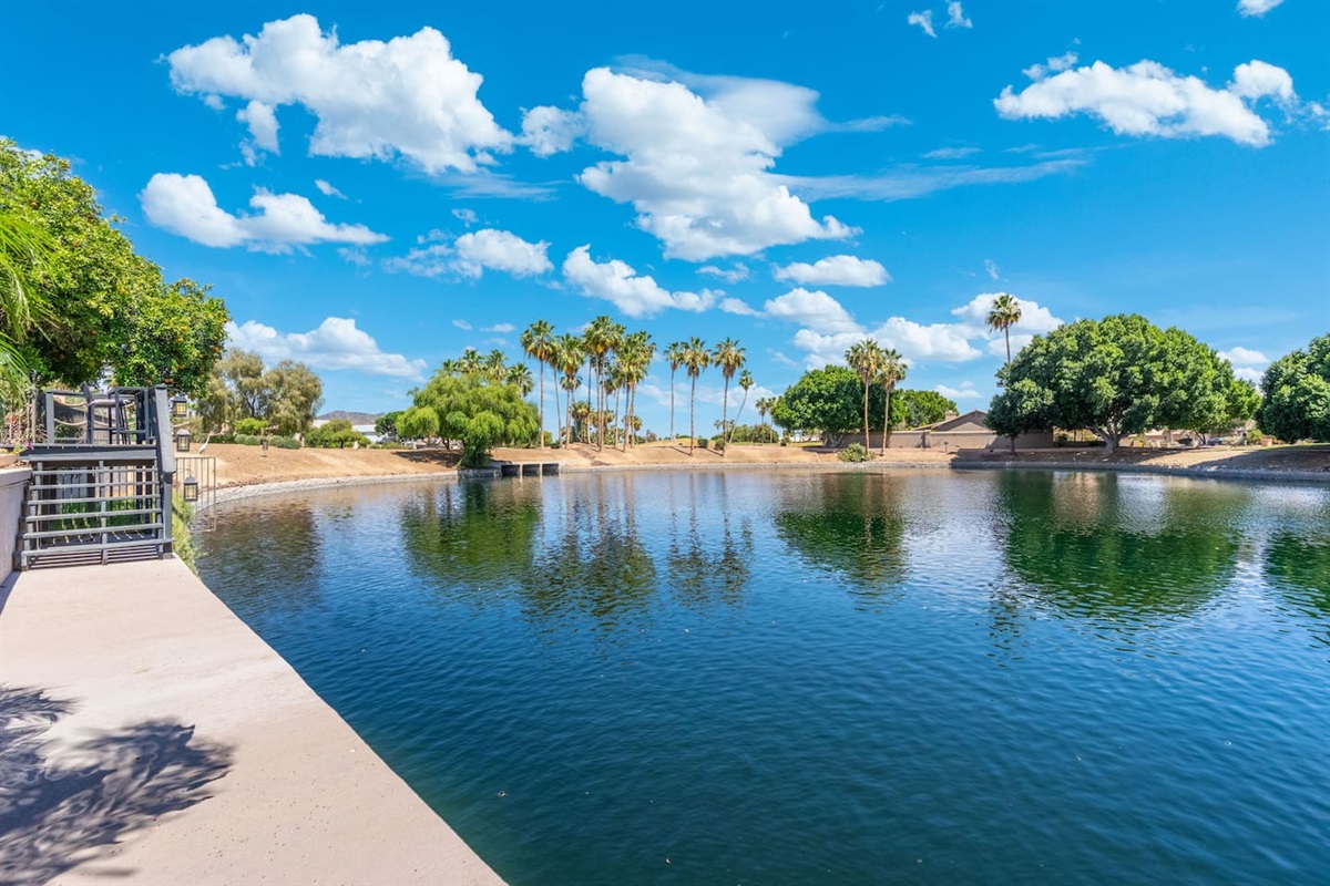 A peaceful lake stretches out before you, framed by palms and lush green trees — the kind of view that makes you want to slow down and simply be present.