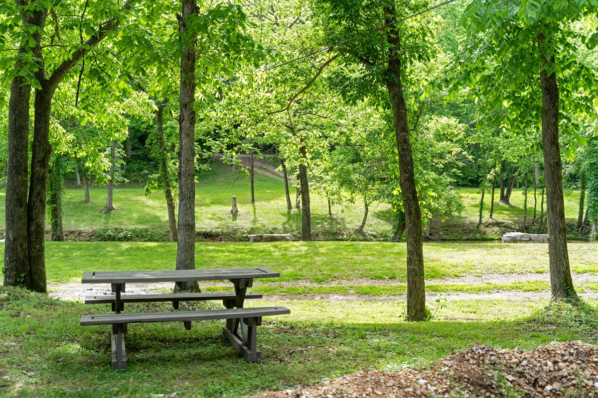 Creeks Edge Picnic Table