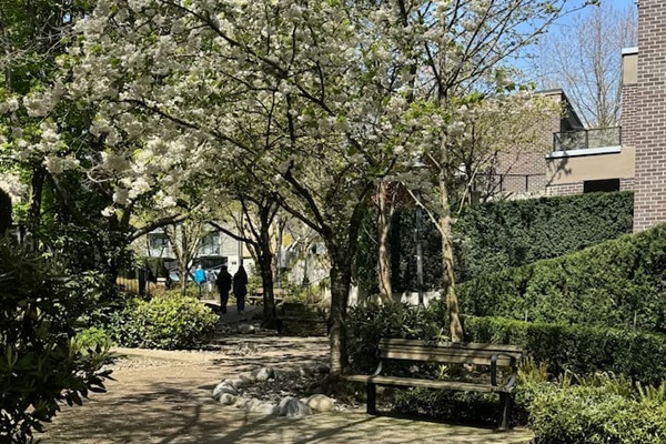 Walkway from 2nd street to Seabus Terminal, a short walk from Walden's Retreat through parks and gardens, and a quick stop at Beans at 5th and Chesterfield for a coffee if you are on the run
