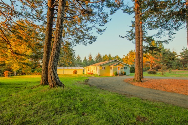 Front Yard