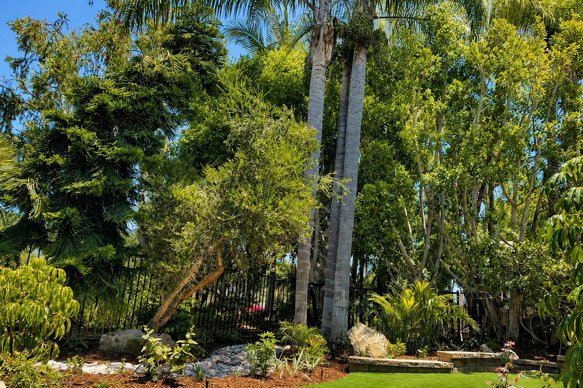Enjoy the ocean breeze through the trees