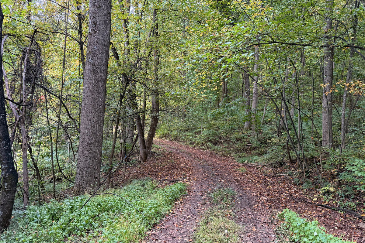 Numerous trails are on the 26 acre property, which you are free to use. We do have many wild animals to enjoy watching, but do take care and be safe. Read through the Guest Welcome Book about safety before you venture off.