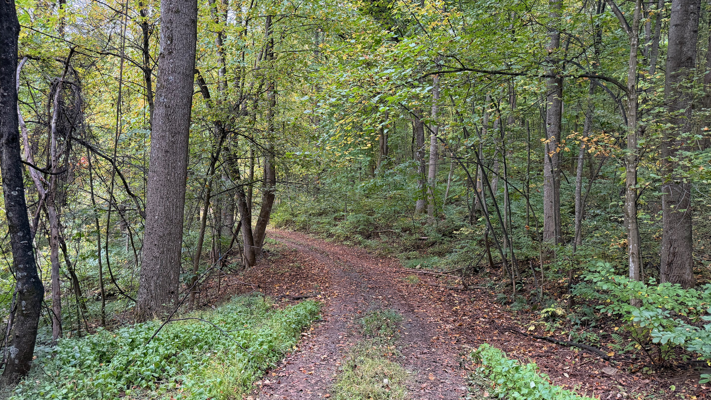 Numerous trails are on the 26 acre property, which you are free to use. We do have many wild animals to enjoy watching, but do take care and be safe. Read through the Guest Welcome Book about safety before you venture off.
