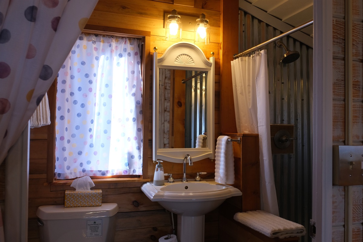 Bathroom with Shower