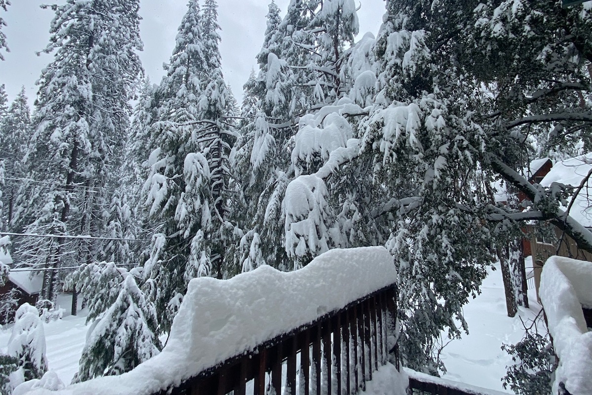Front porch, Winter