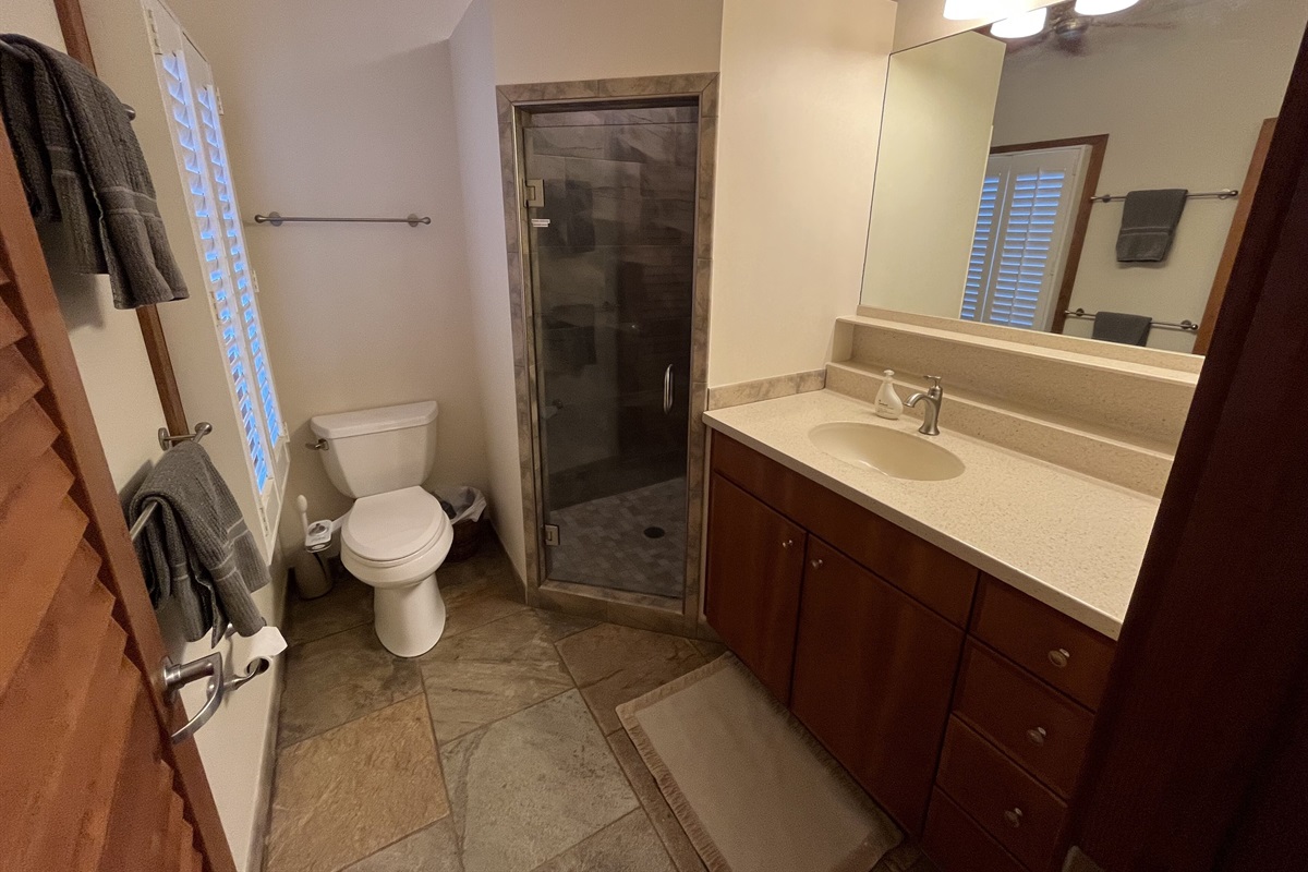 Downstairs 3/4 bathroom (3)