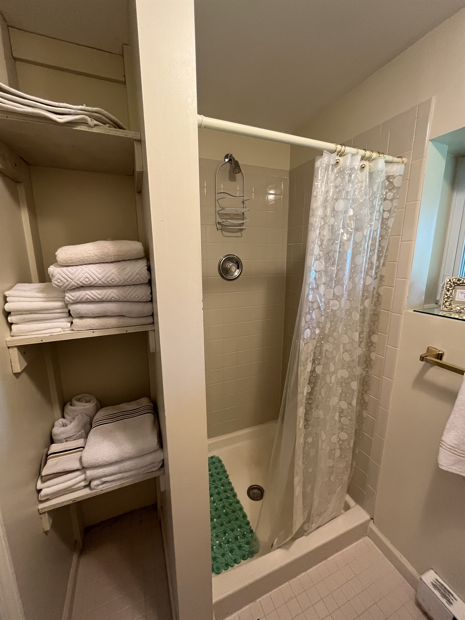 Lower level bathroom w/ shower