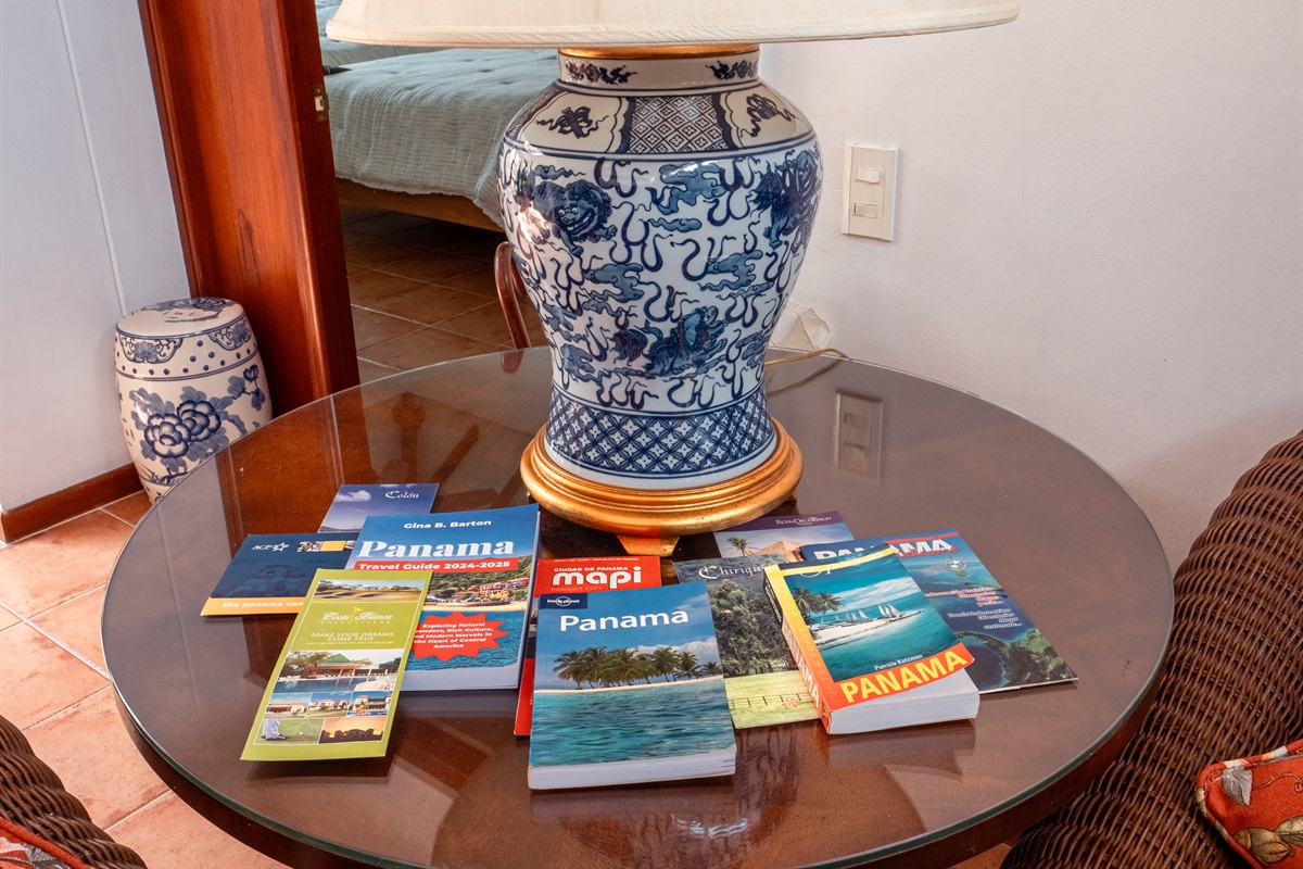 Tourist books in living room