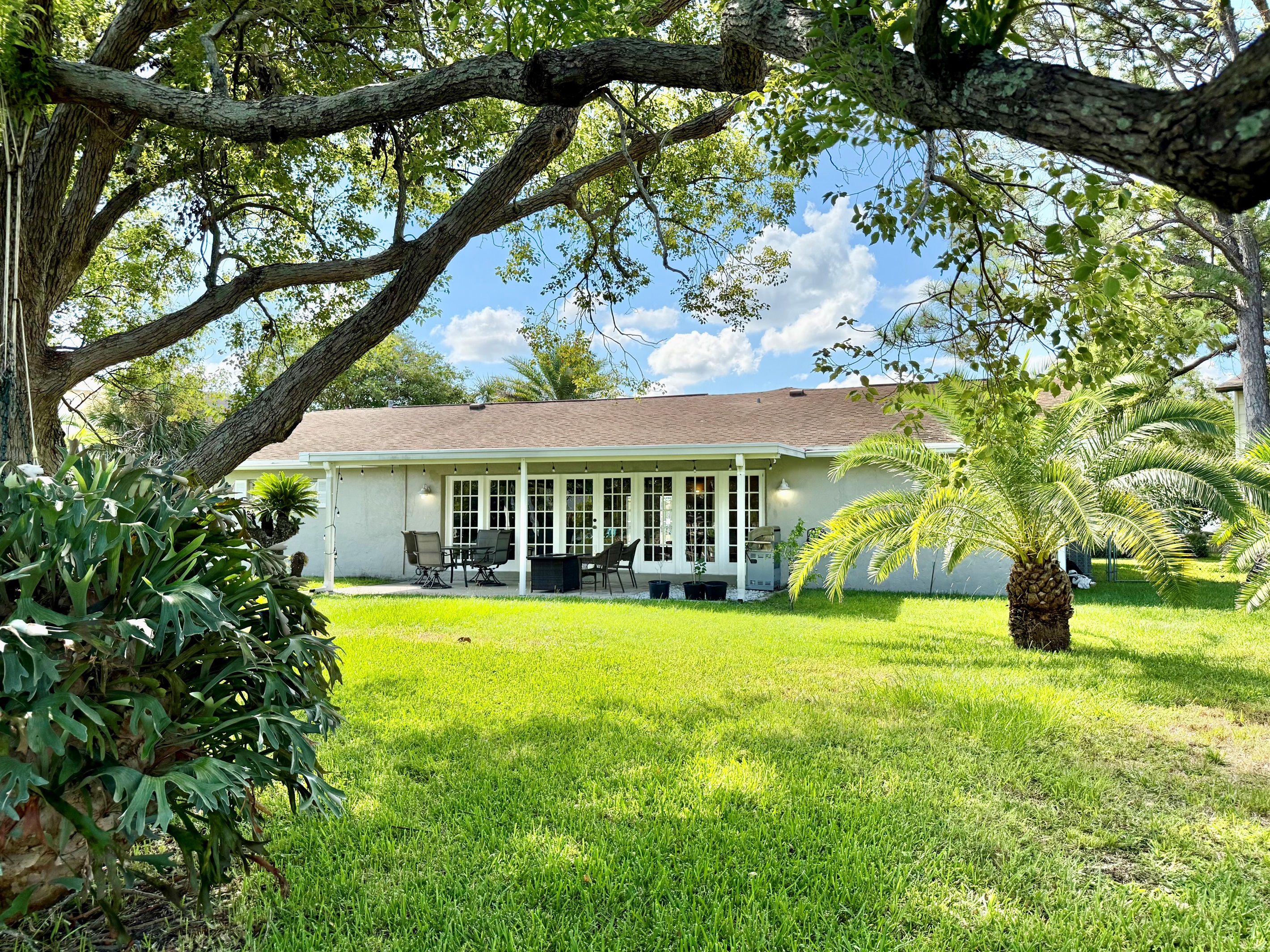Backyard