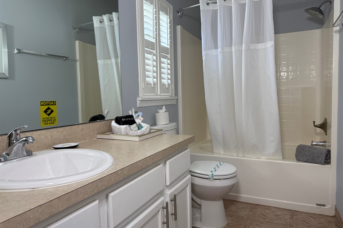 En Suite Master Bathroom with Tub and Amenities 