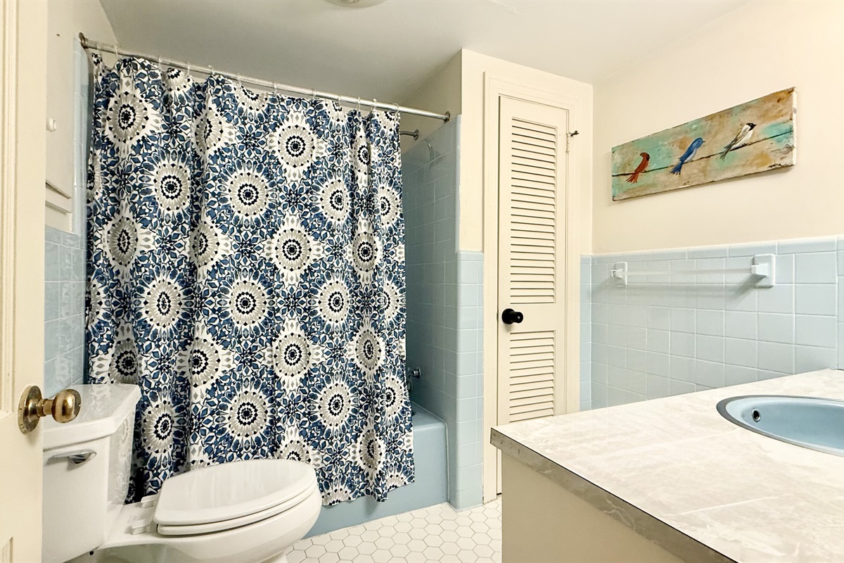 Cozy lower level bathroom with a tub and shower combination