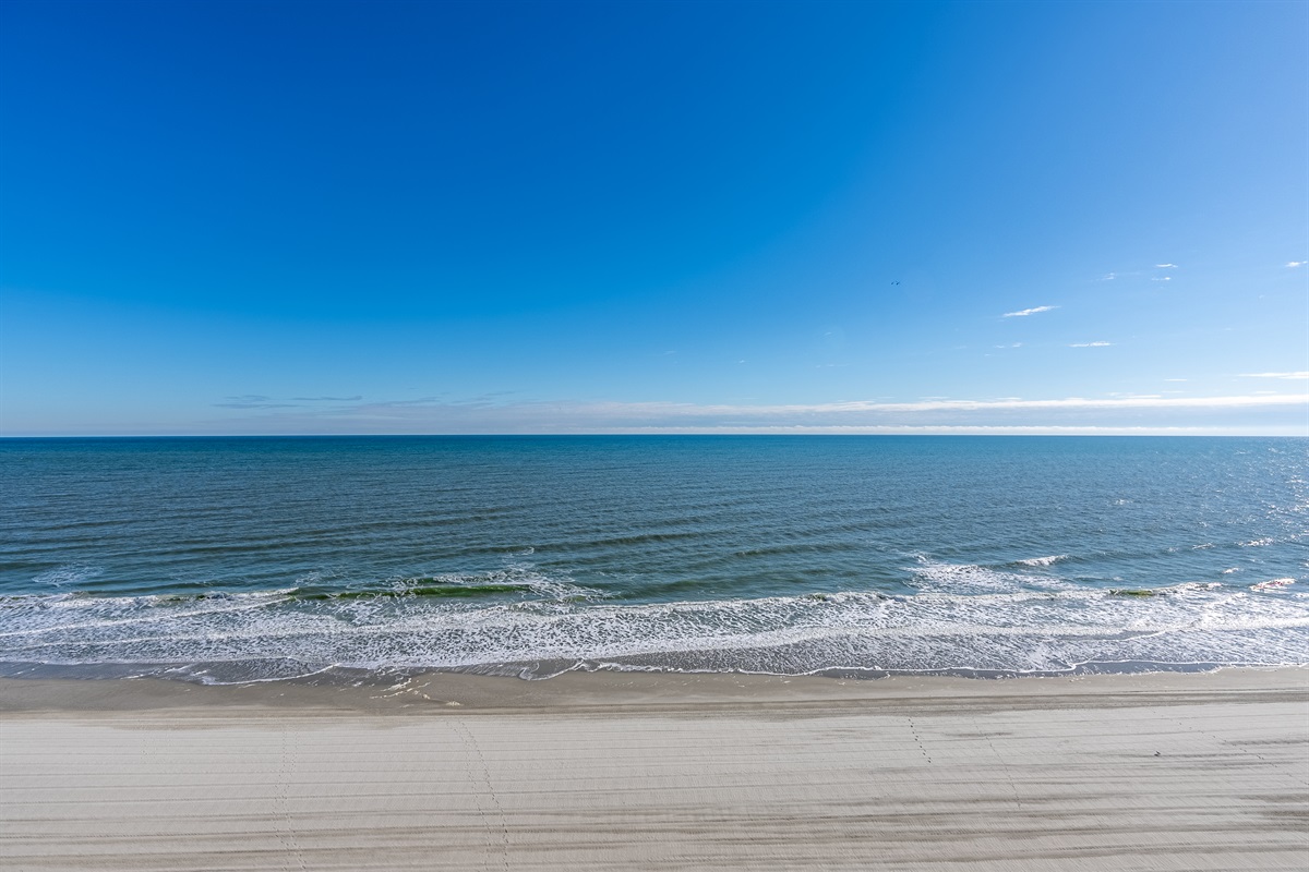 Amazing Ocean