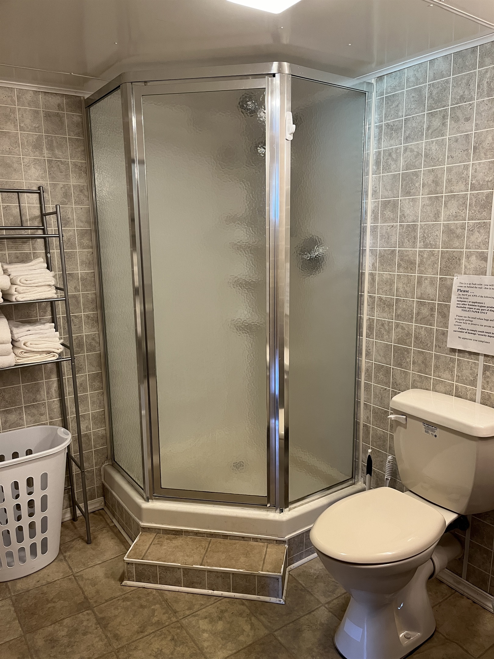 Lower level bathroom with shower