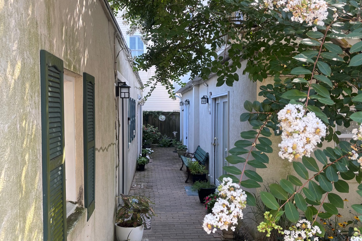 Turtle Cove Entry