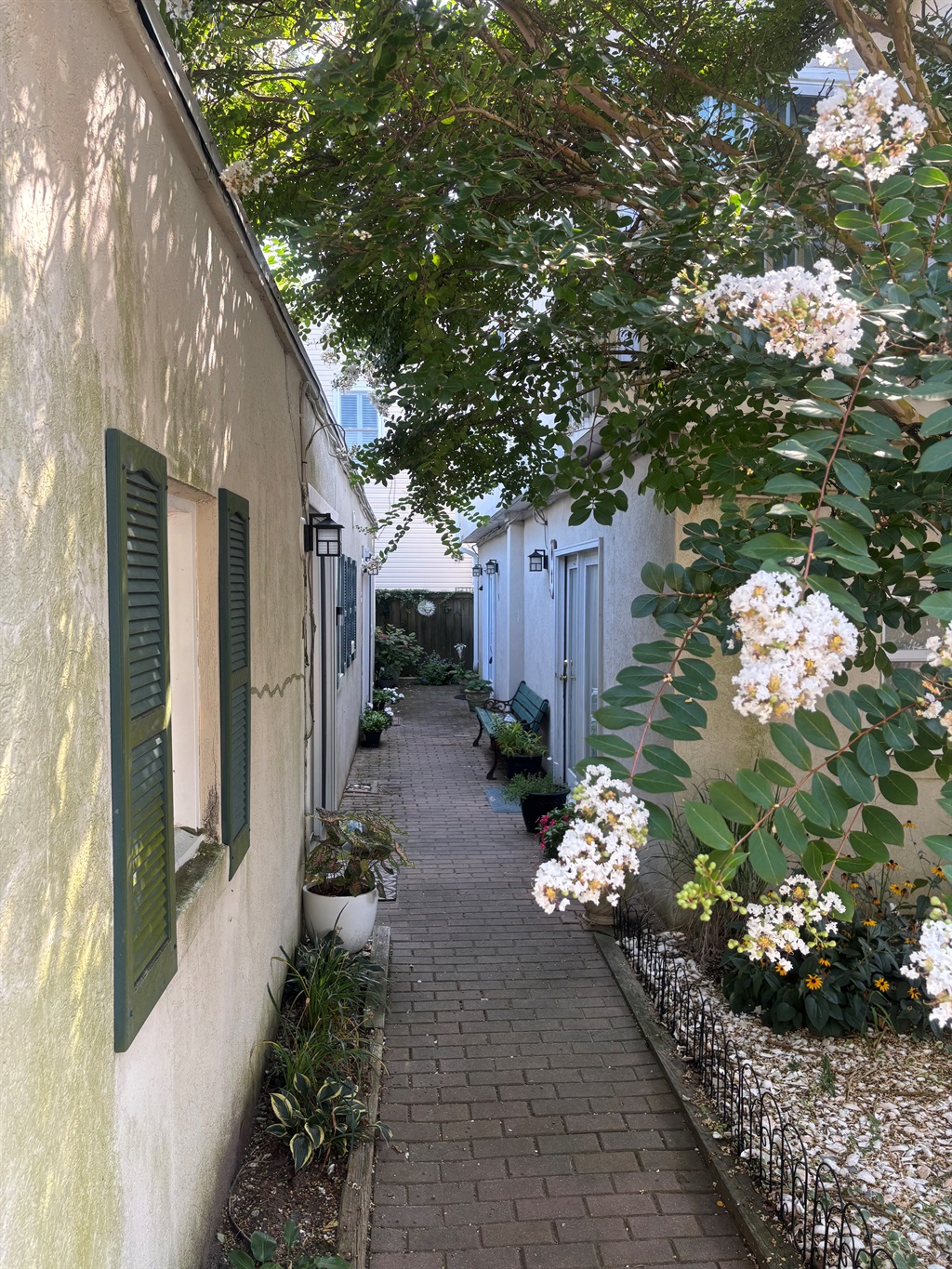 Turtle Cove Entry