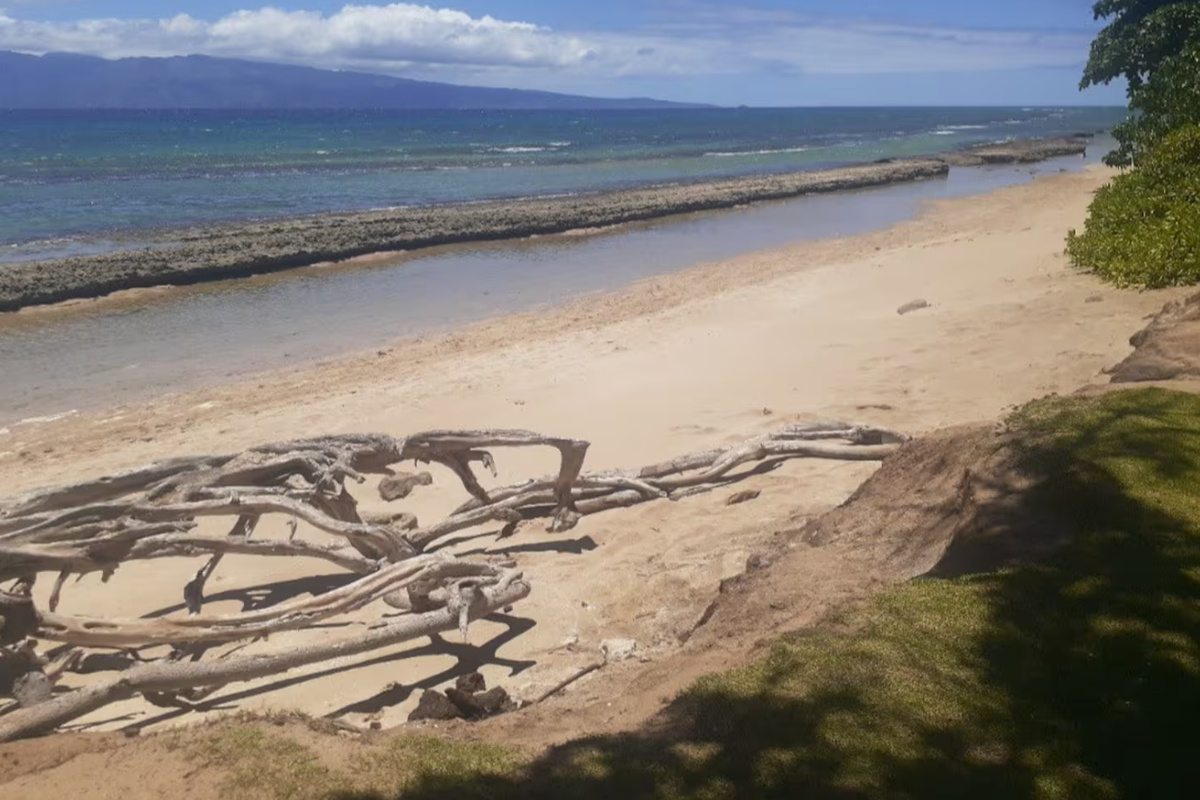Neighborhood beach park and snorkeling 