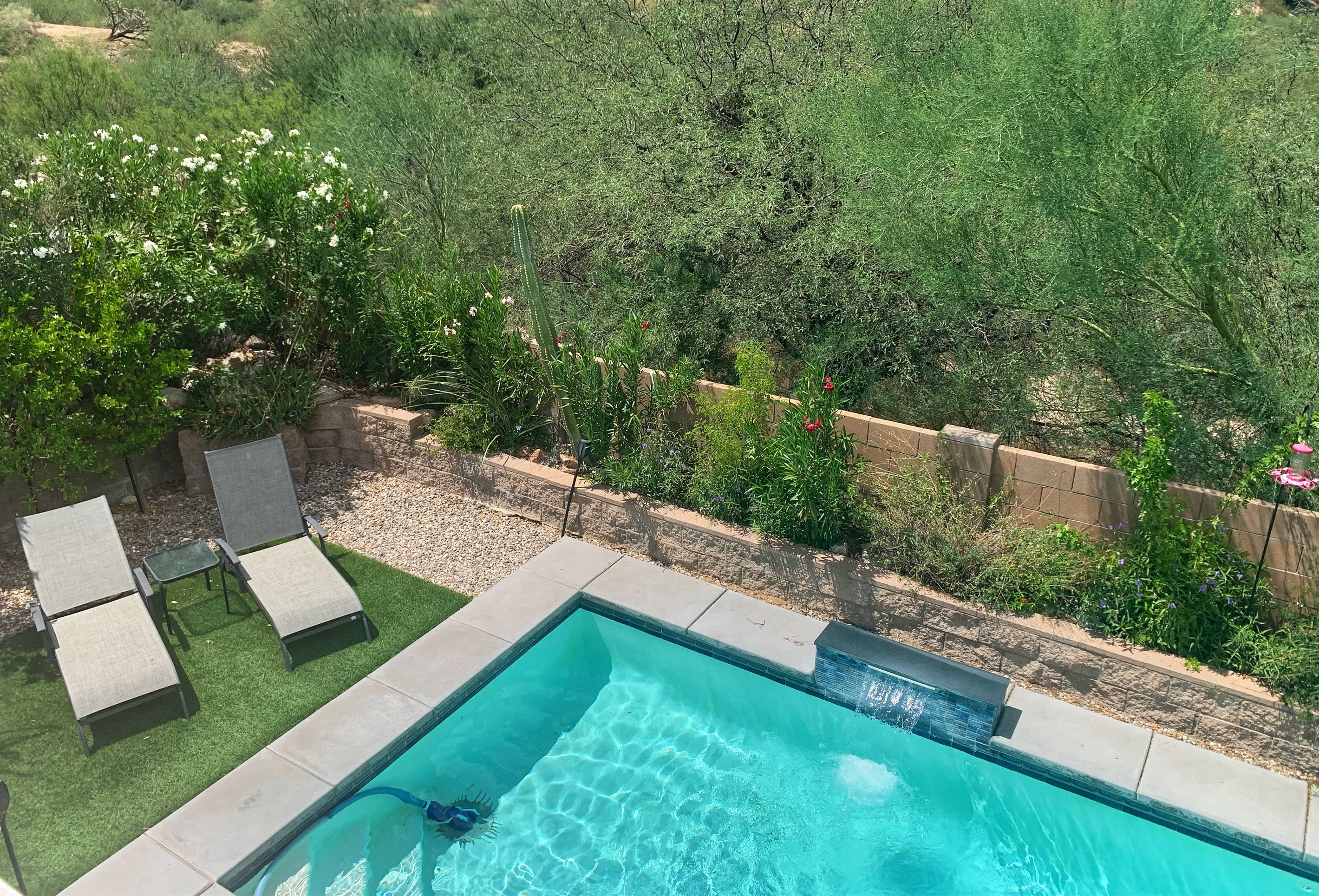 The desert open space behind our property ensures quiet and privacy.