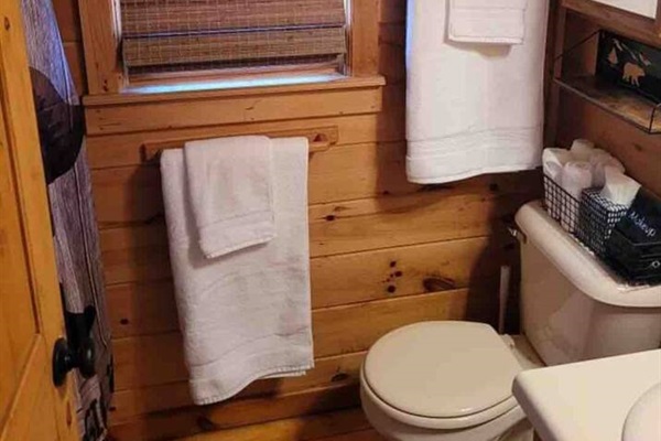 Private bathroom adjacent to the Master Bedroom in the loft.  Make up towels and wipes provided.